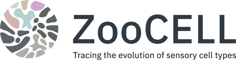 ZooCELL